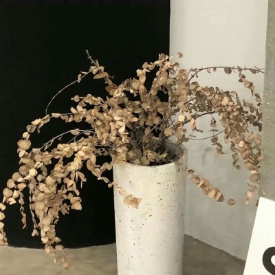 通渭福瑞交流群